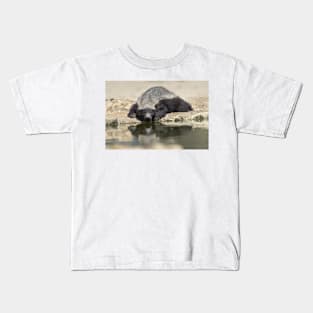 Resting Honey Badger (C019/4317) Kids T-Shirt